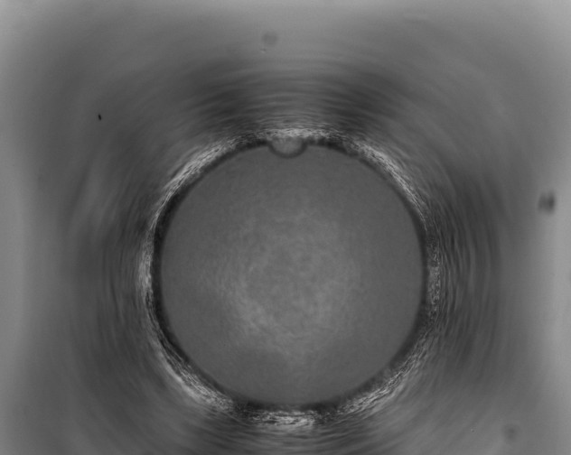 X0000100860443200806271204