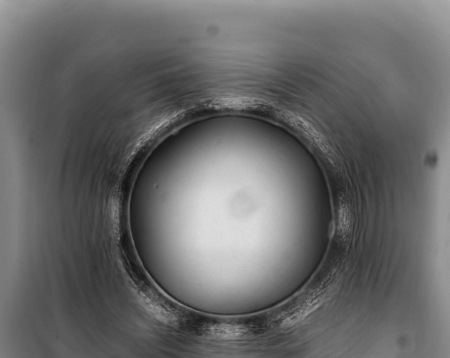 X0000100860444200806271204