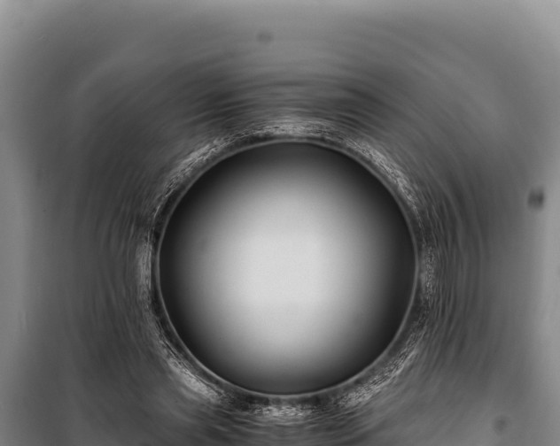 X0000100860445200806271204