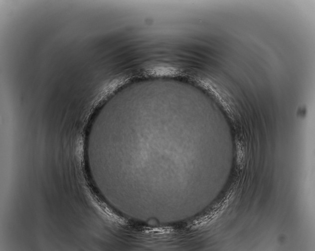 X0000100860447200806271204