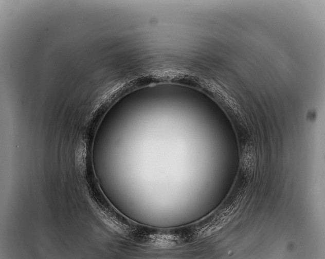 X0000100860448200806271204