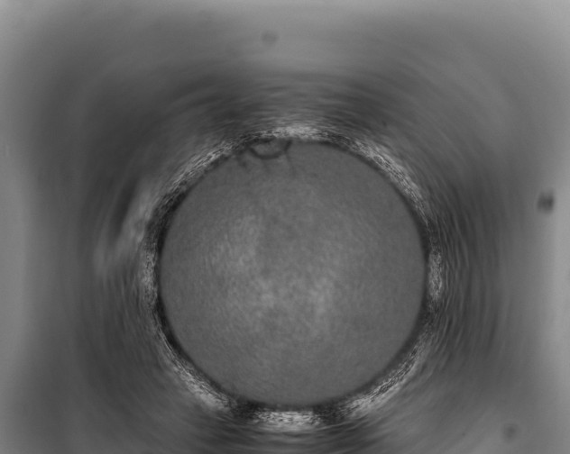 X0000100860449200806271204