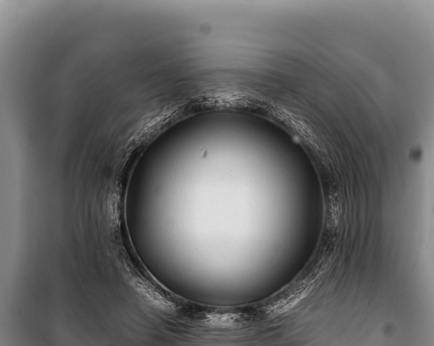 X0000100860450200806271204