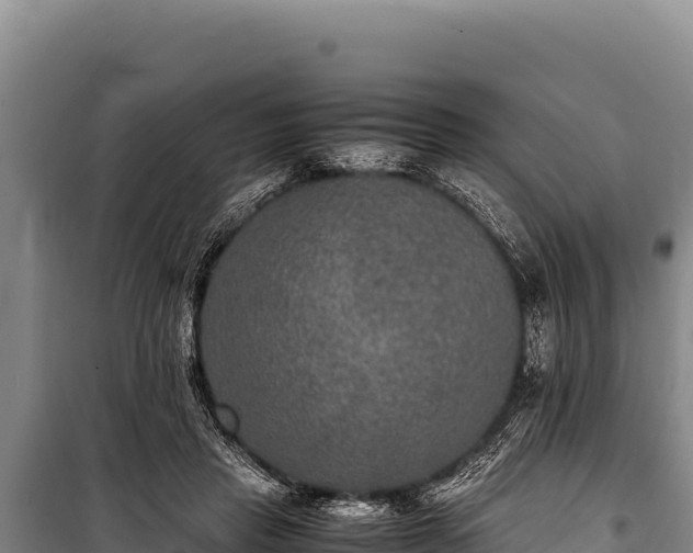 X0000100860453200806271204