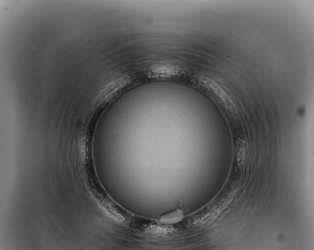 X0000100860455200806271204