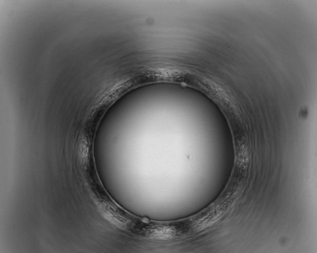 X0000100860456200806271204