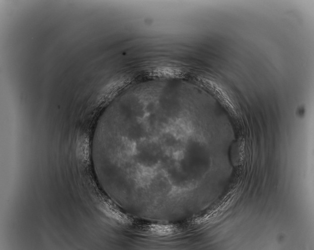 X0000100860457200806271204