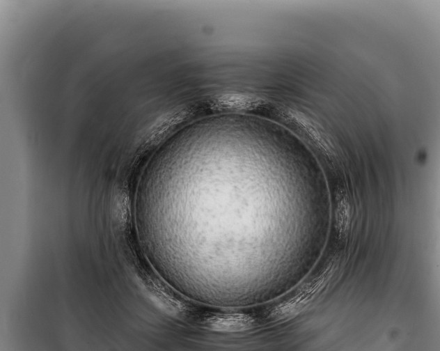 X0000100860459200806271204