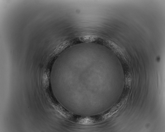 X0000100860460200806271204