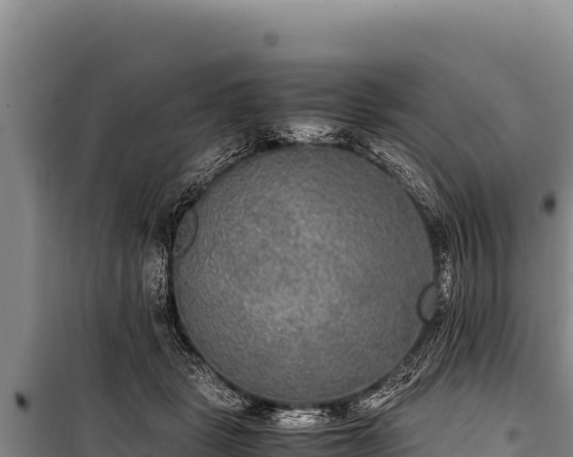 X0000100860461200806271204