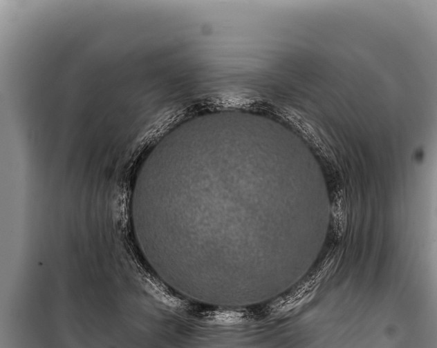 X0000100860462200806271204