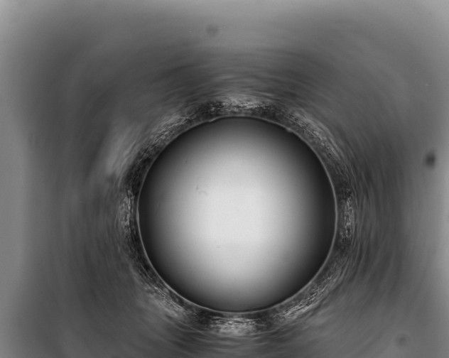 X0000100860463200806271204