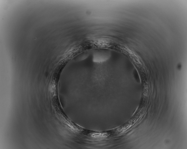 X0000100860465200806271204