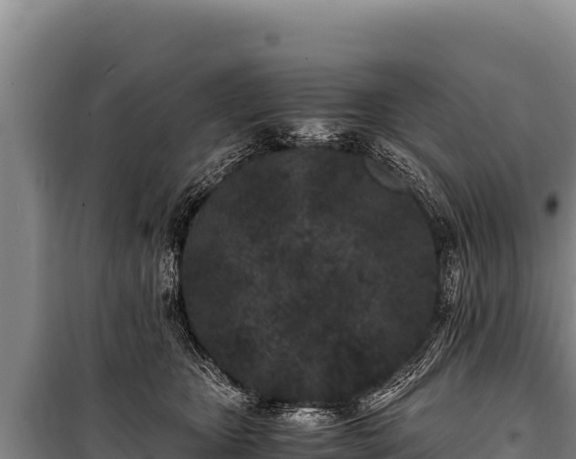 X0000100860467200806271204