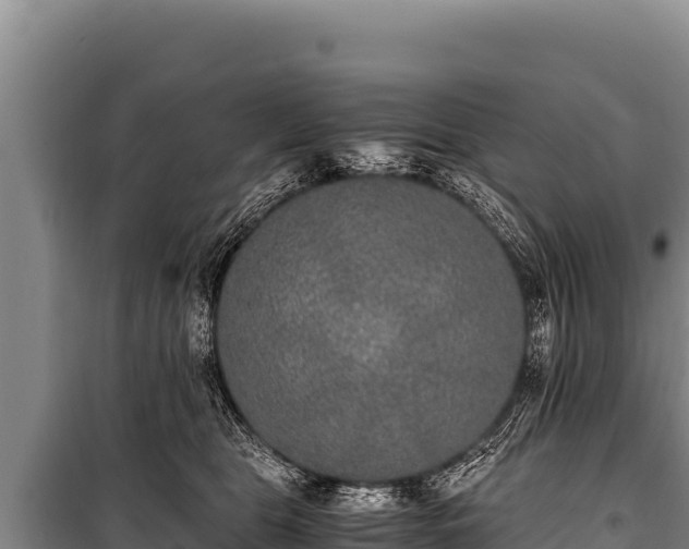 X0000100860469200806271204