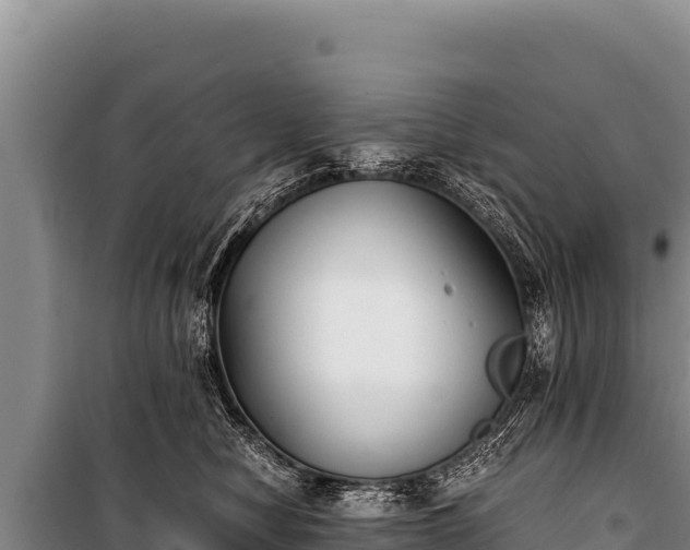 X0000100860470200806271204