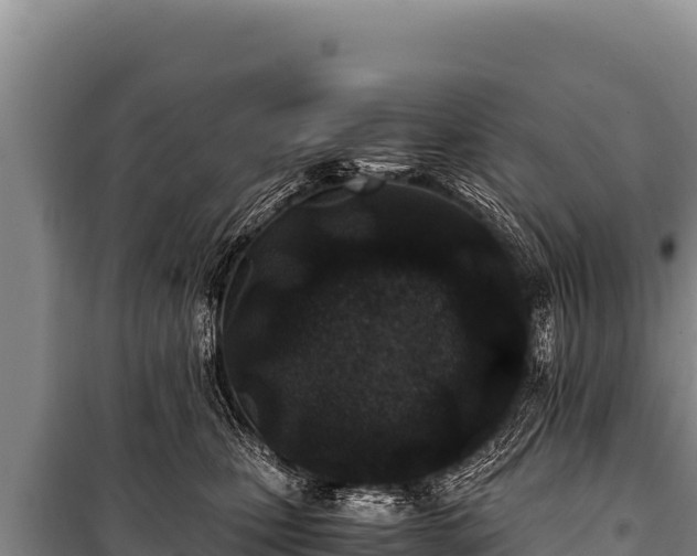 X0000100860471200806271204