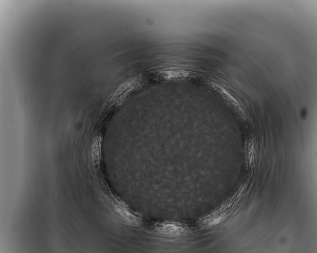 X0000100860475200806271204