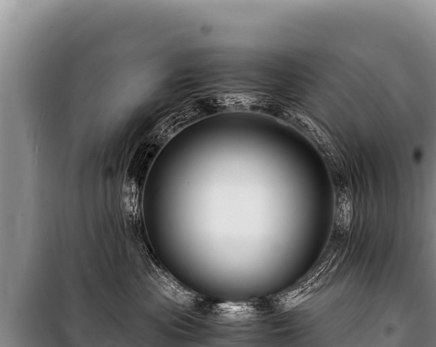 X0000100860477200806271204