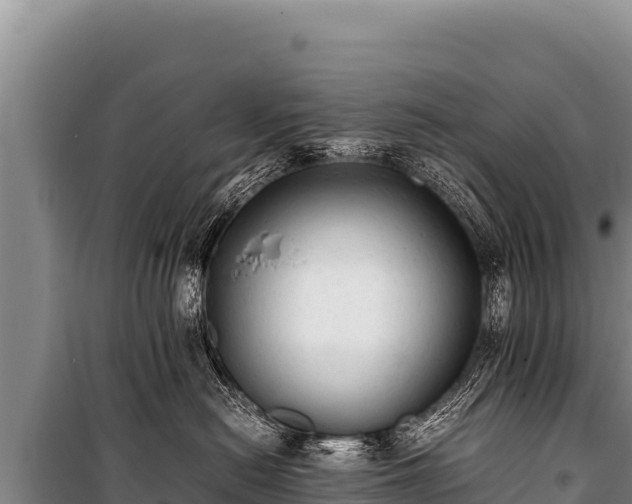 X0000100860478200806271204