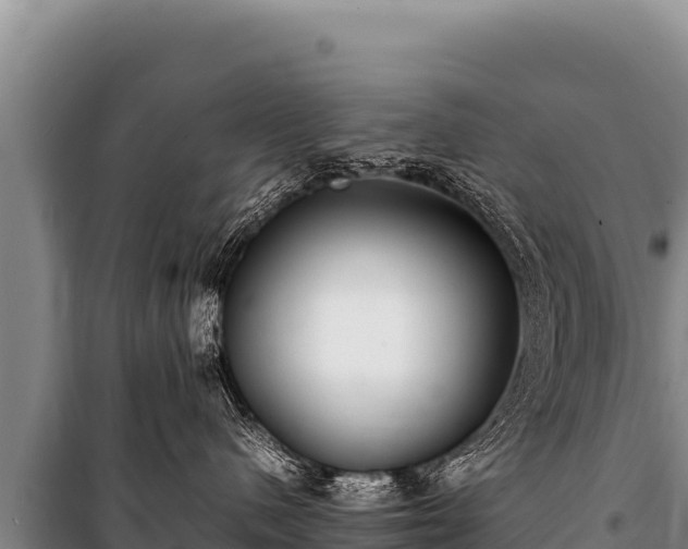 X0000100860480200806271204