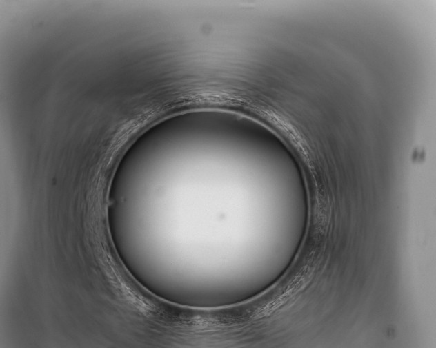 X0000100860481200806271203