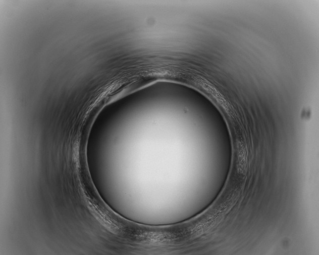 X0000100860482200806271203