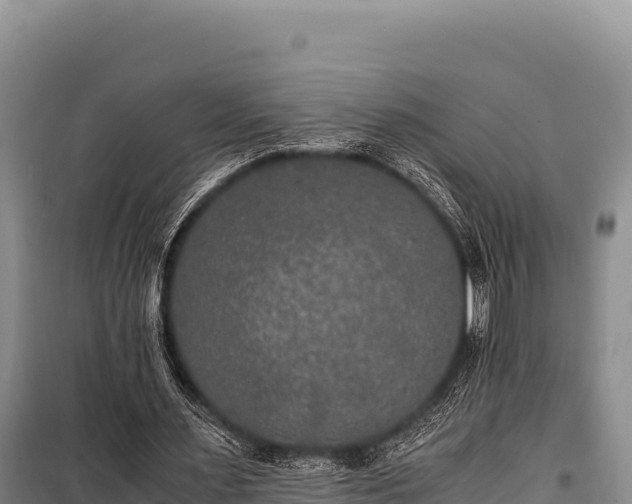 X0000100860483200806271203