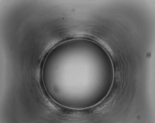 X0000100860485200806271203