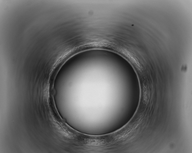 X0000100860486200806271203