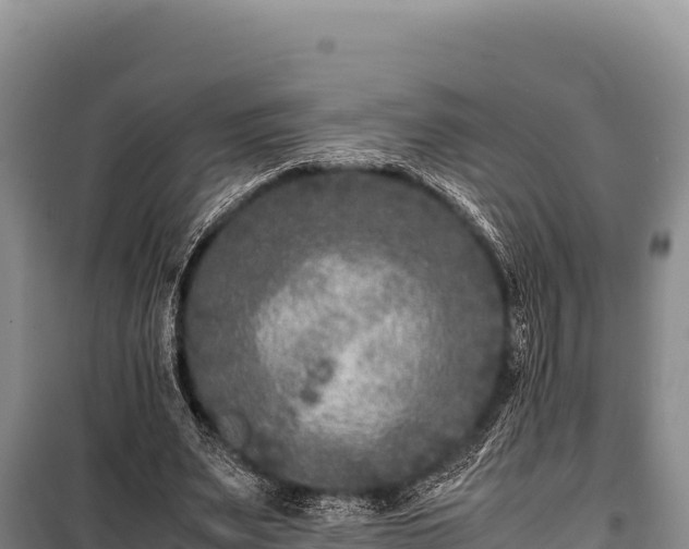 X0000100860487200806271203