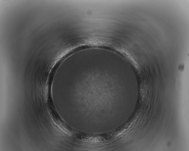 X0000100860488200806271203