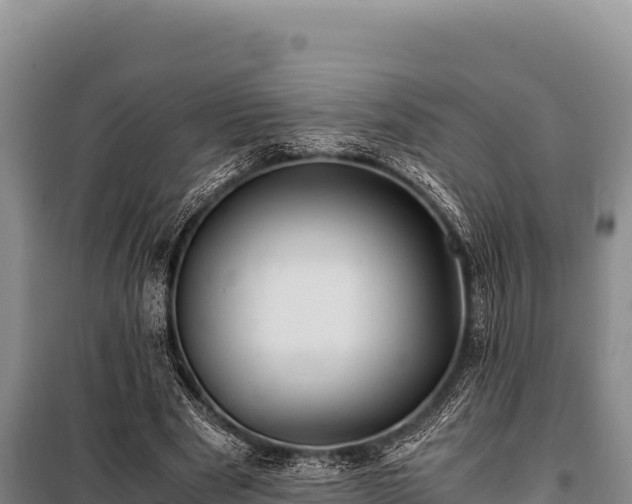 X0000100860489200806271203