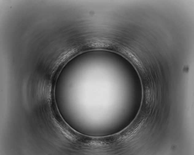 X0000100860490200806271203