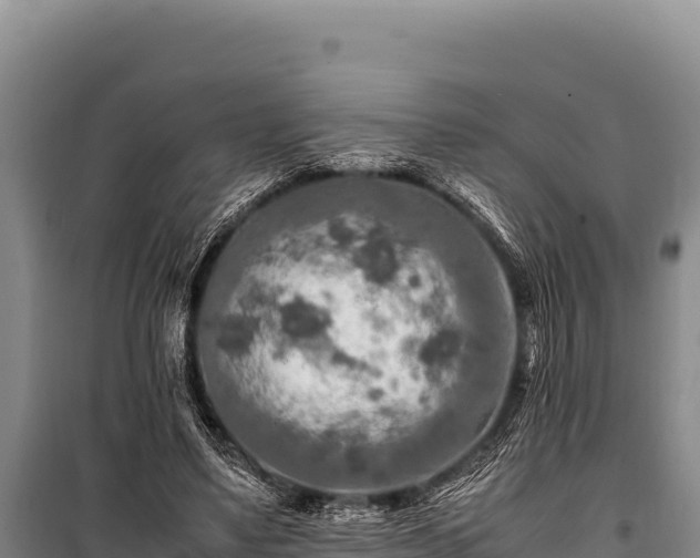 X0000100860491200806271203