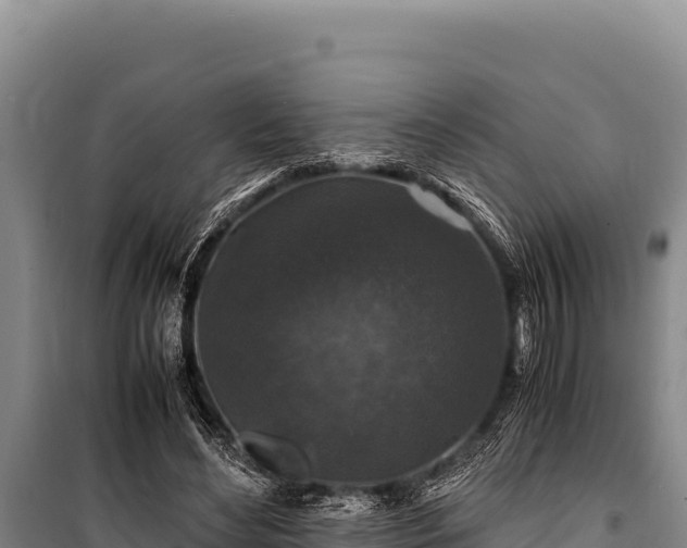 X0000100860492200806271203