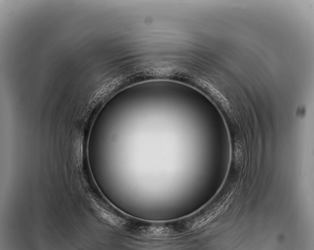 X0000100860493200806271203