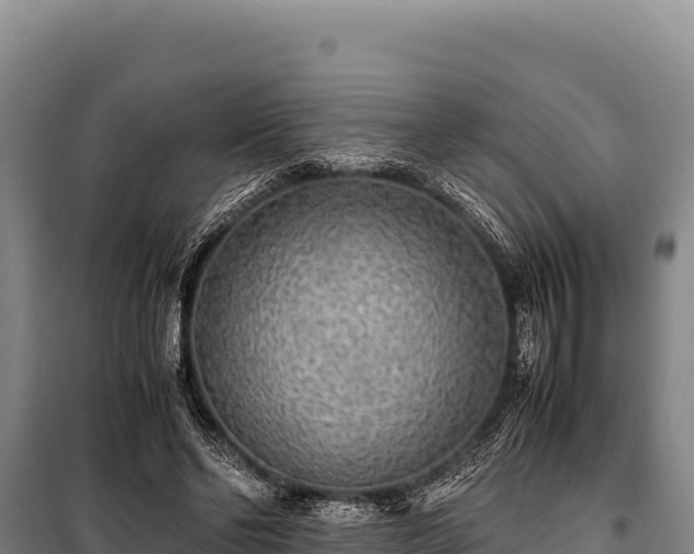 X0000100860494200806271203