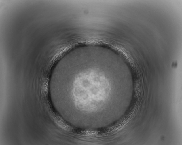 X0000100860495200806271203