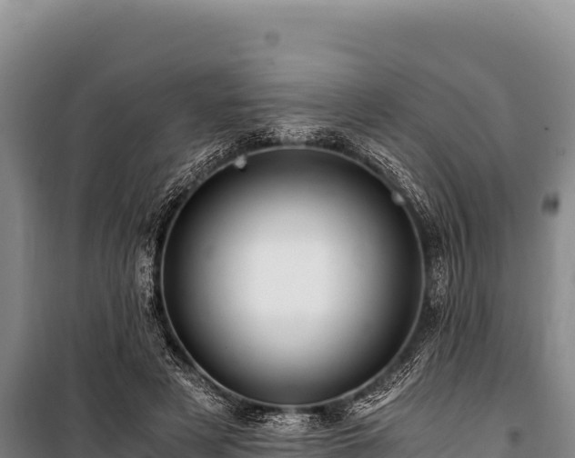 X0000100860497200806271203