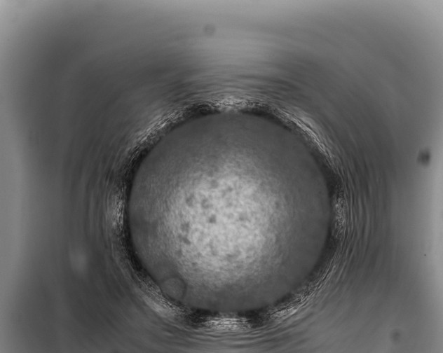 X0000100860499200806271203