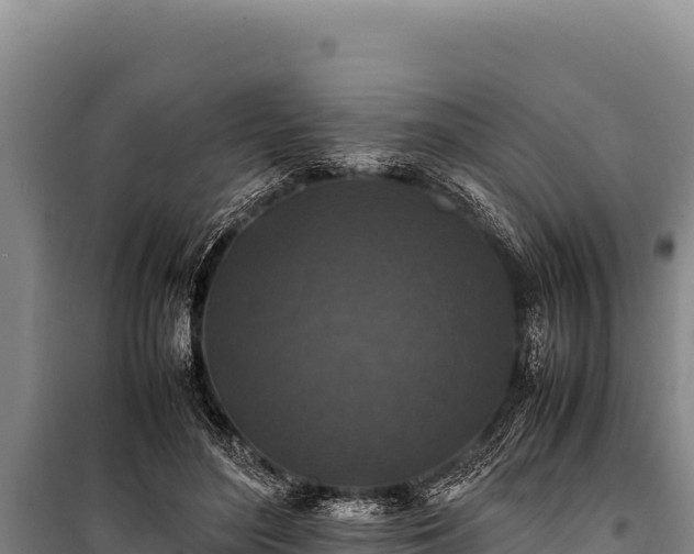 X0000100860500200806271203