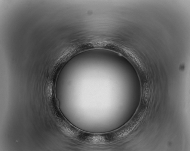 X0000100860501200806271203