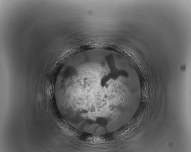 X0000100860503200806271203