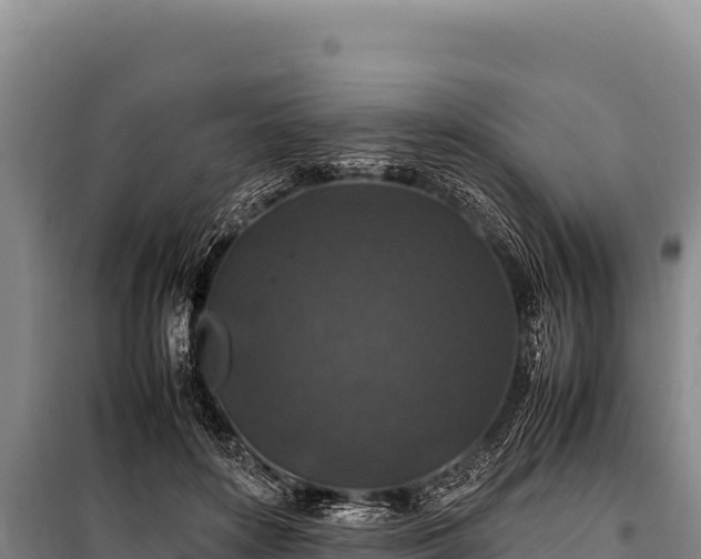 X0000100860504200806271203