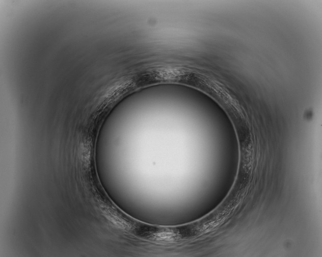 X0000100860505200806271203