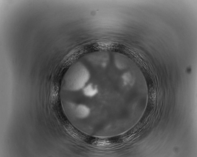 X0000100860507200806271203