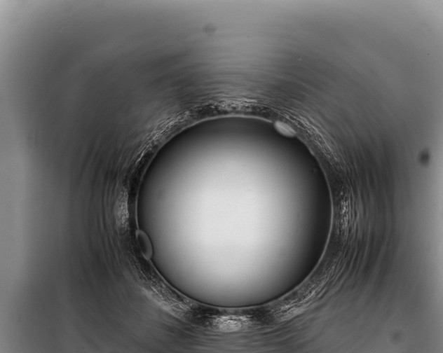 X0000100860508200806271203