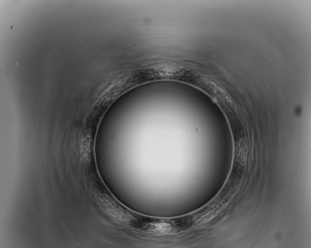 X0000100860509200806271203