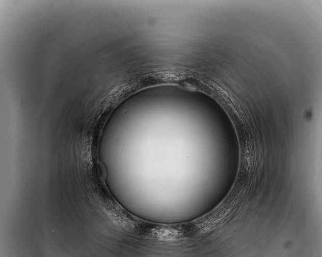 X0000100860512200806271203